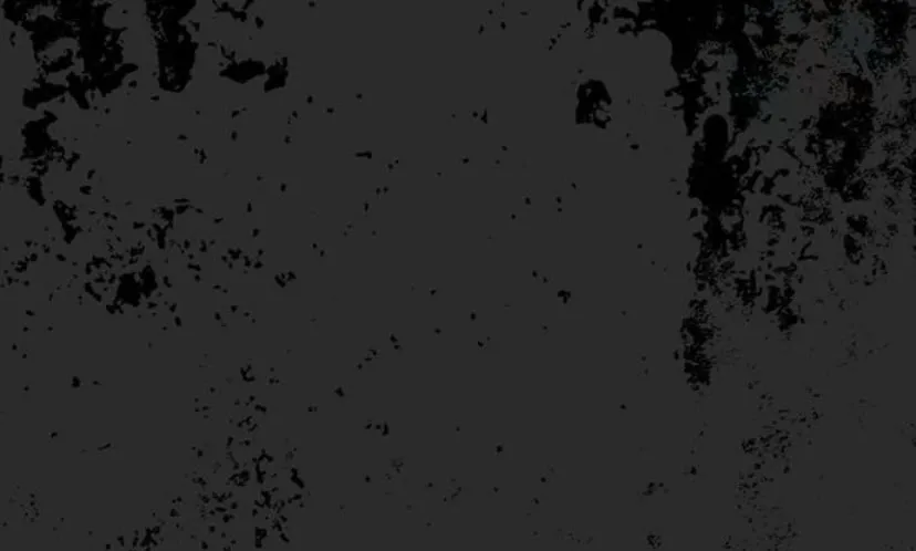 29 Príncipe problemático