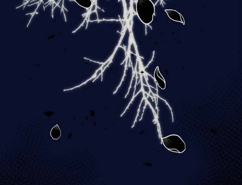 140 Príncipe problemático