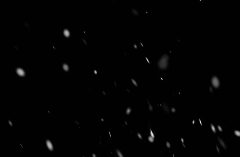 81 Príncipe problemático