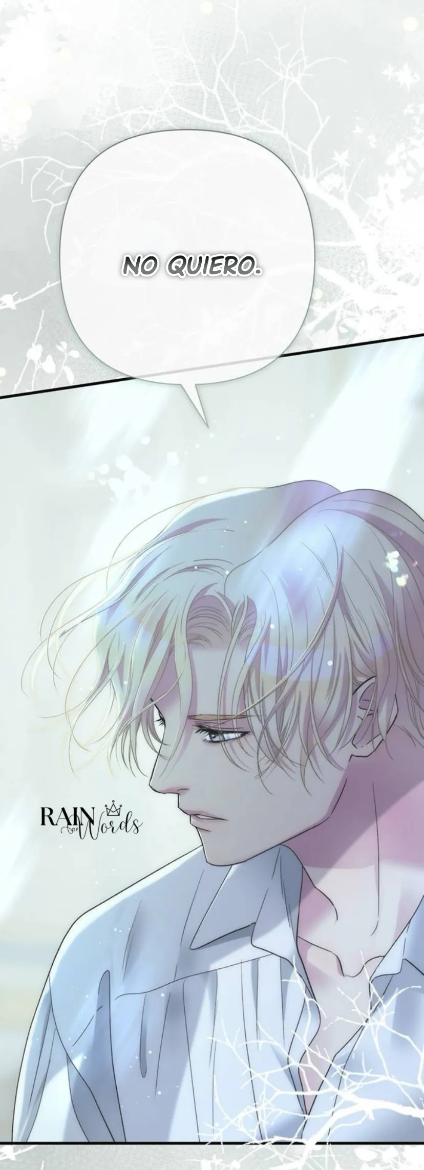 19 Príncipe problemático