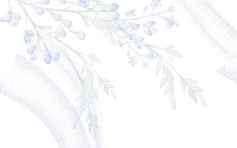 41 Príncipe problemático