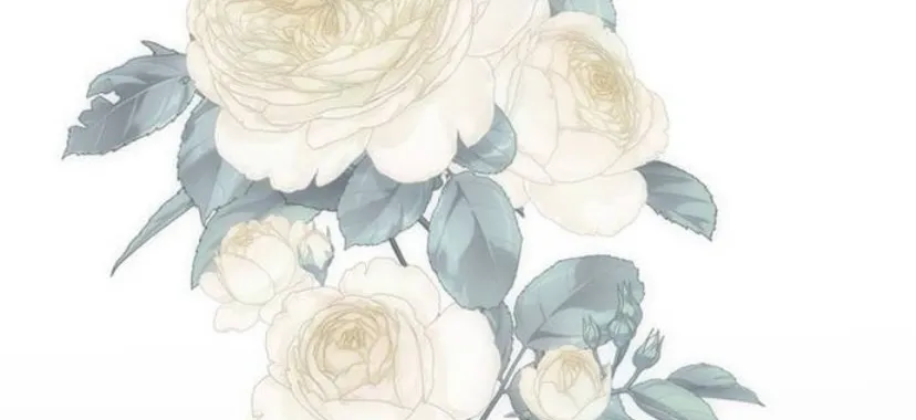 67 Príncipe problemático