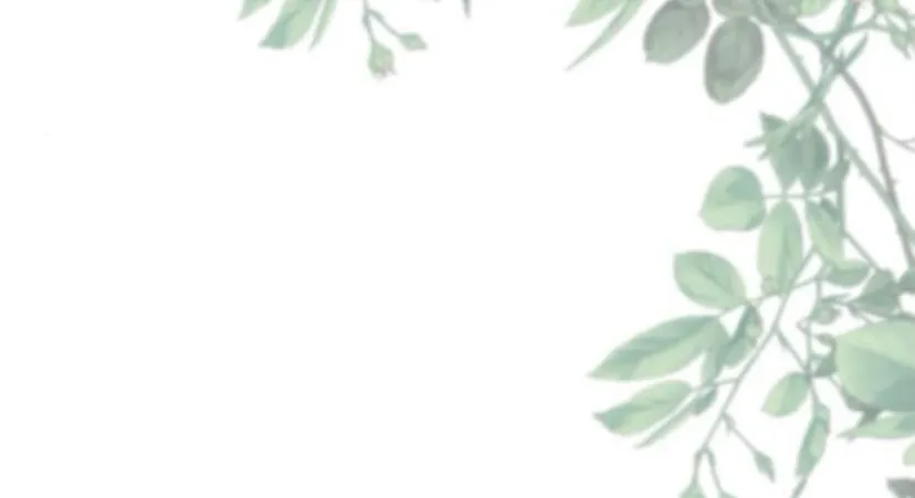 23 Príncipe problemático