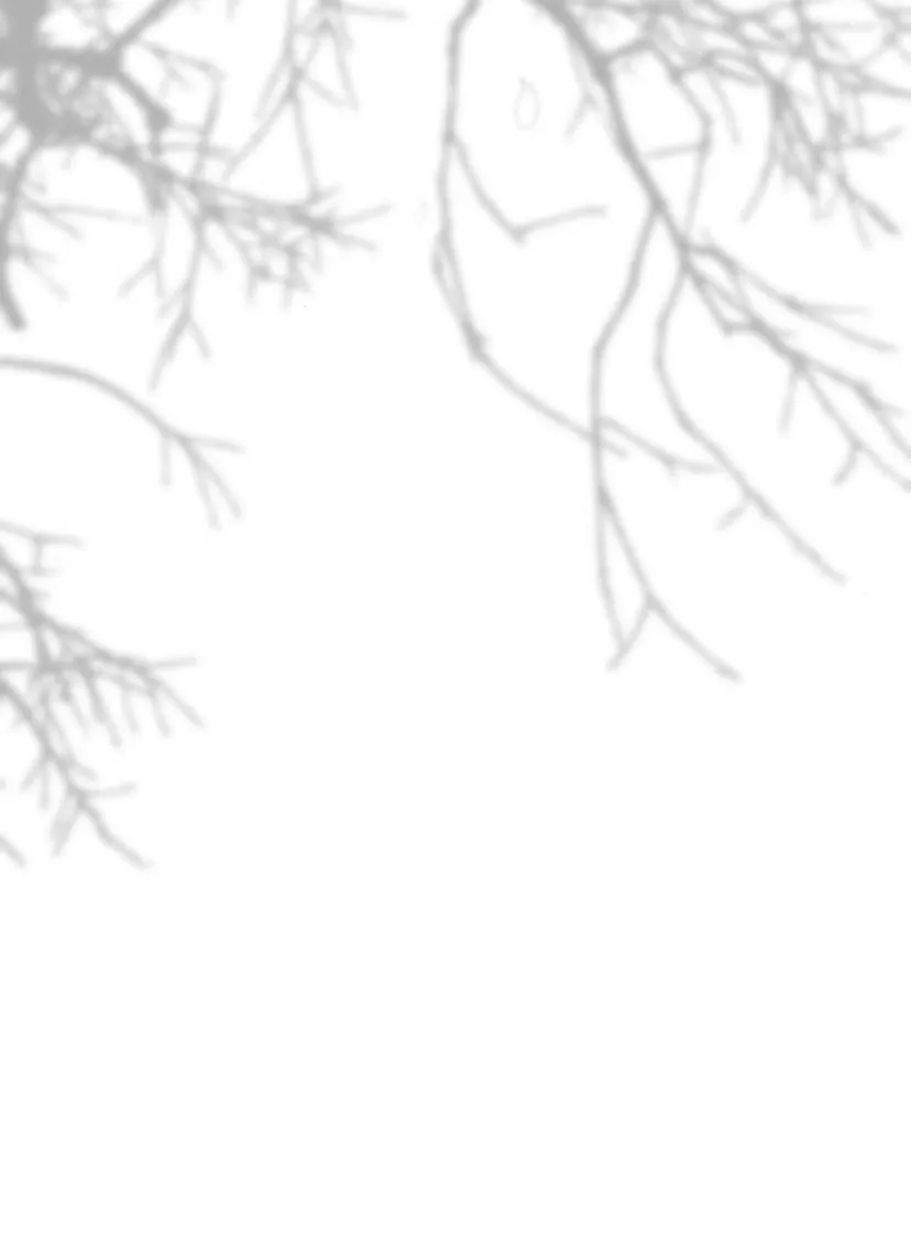 99 Príncipe problemático