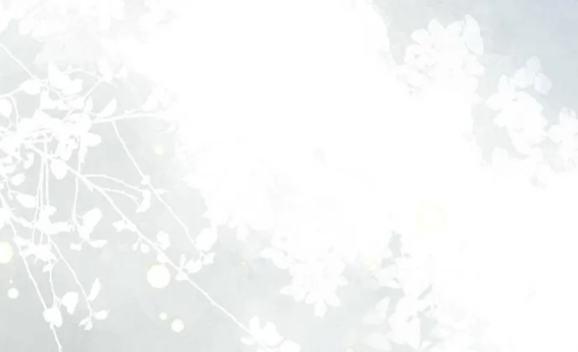 152 Príncipe problemático