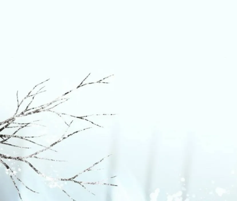 66 Príncipe problemático