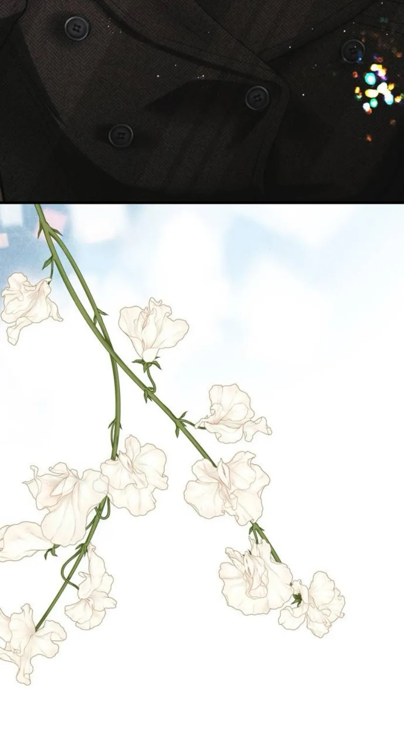 123 Príncipe problemático