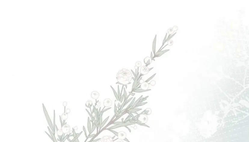 62 Príncipe problemático