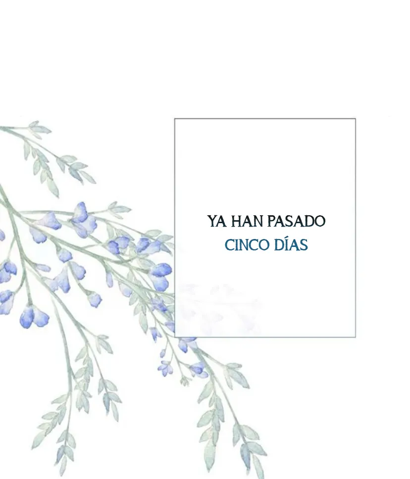 41 Príncipe problemático