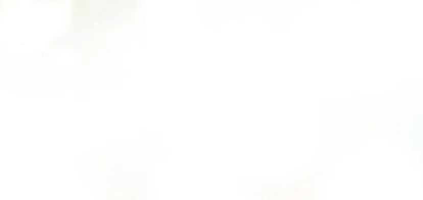 12 Príncipe problemático