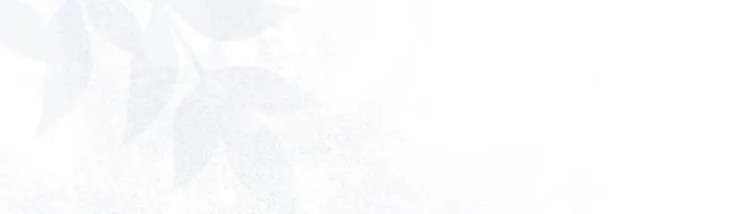 138 Príncipe problemático