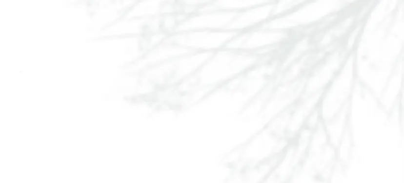 87 Príncipe problemático