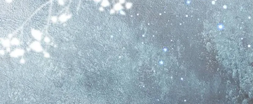 117 Príncipe problemático