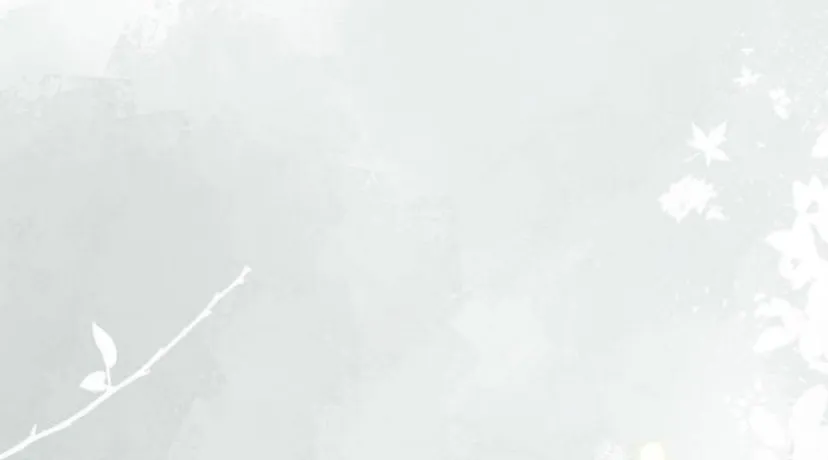 113 Príncipe problemático