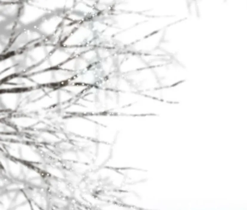 126 Príncipe problemático