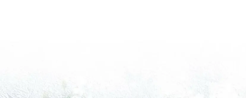 115 Príncipe problemático