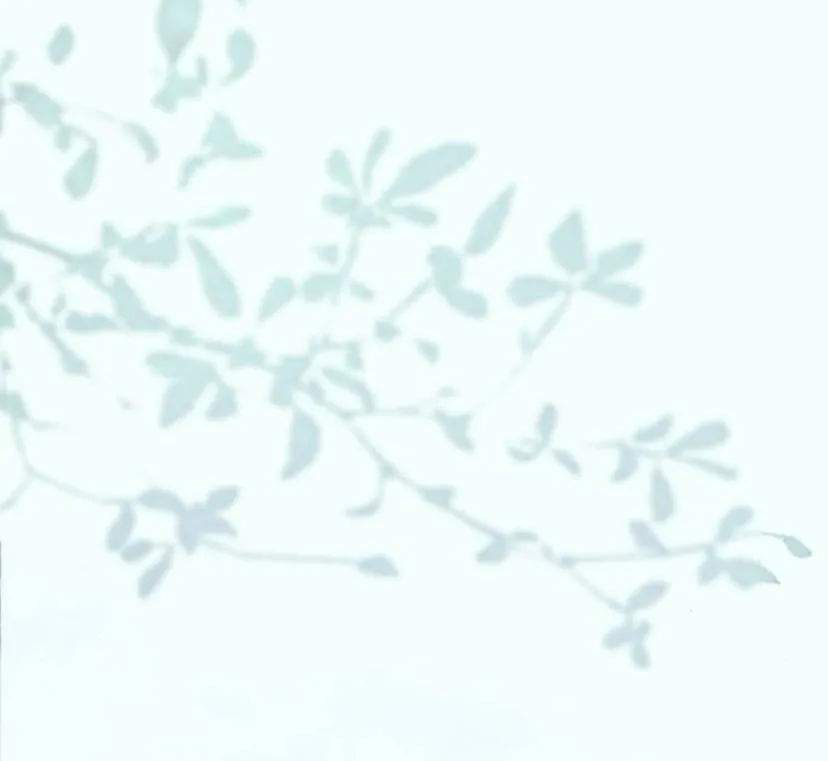 42 Príncipe problemático