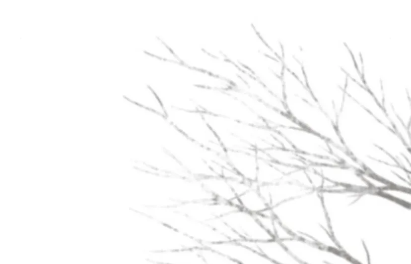 123 Príncipe problemático