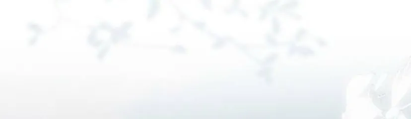 138 Príncipe problemático