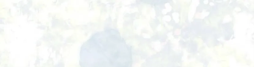 62 Príncipe problemático