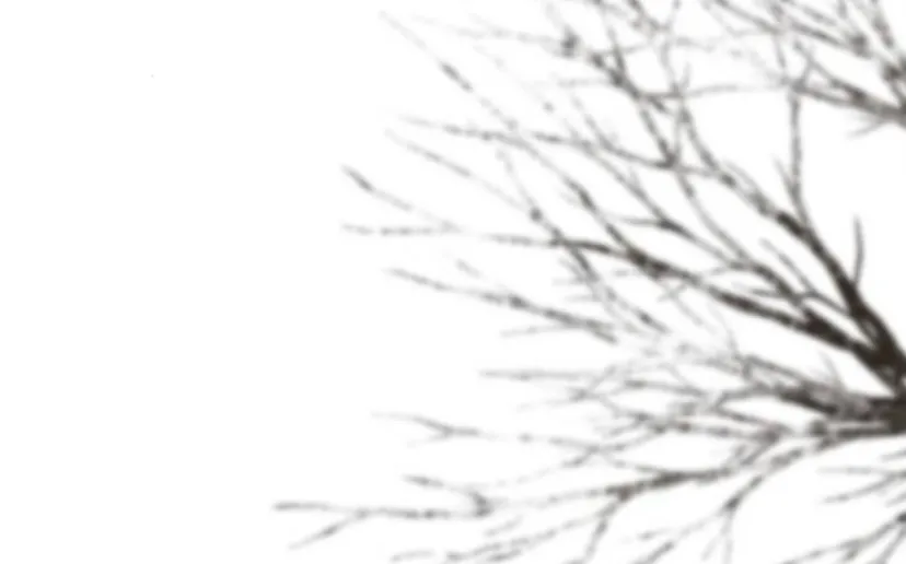 6 Príncipe problemático