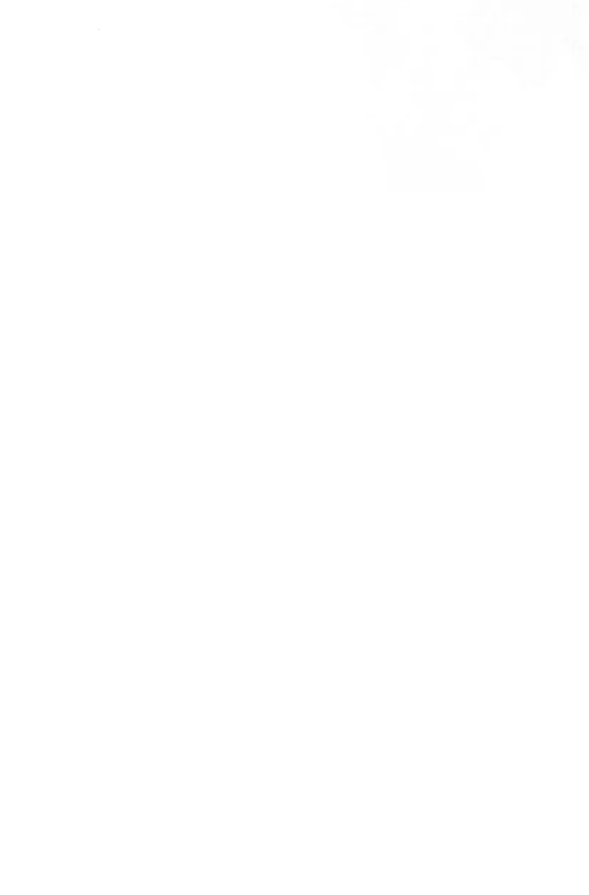 5 Príncipe problemático