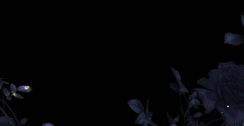 45 Príncipe problemático