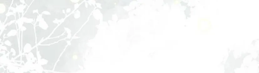 89 Príncipe problemático