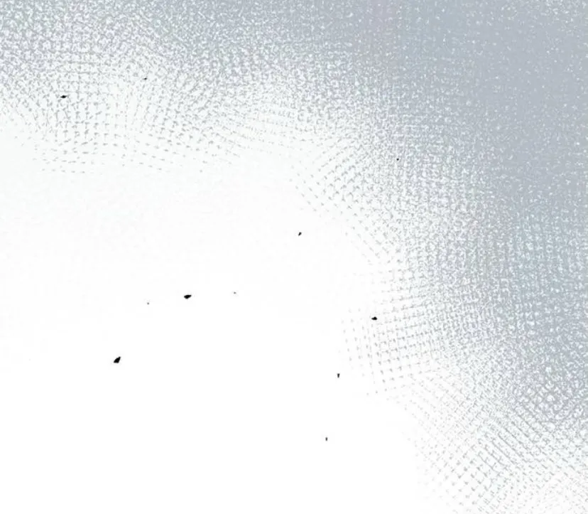 5 Príncipe problemático