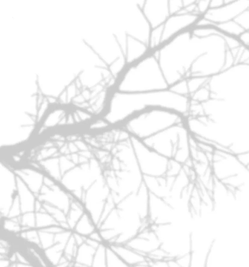 109 Príncipe problemático