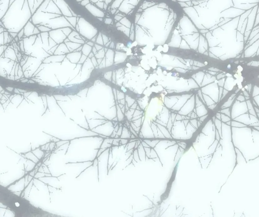 104 Príncipe problemático