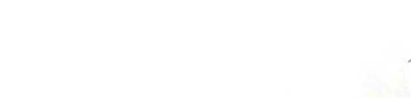 13 Príncipe problemático