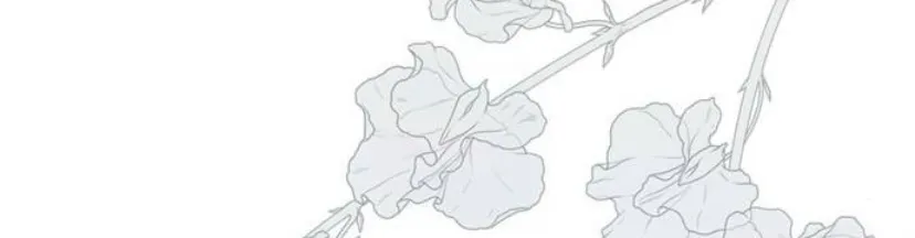 115 Príncipe problemático