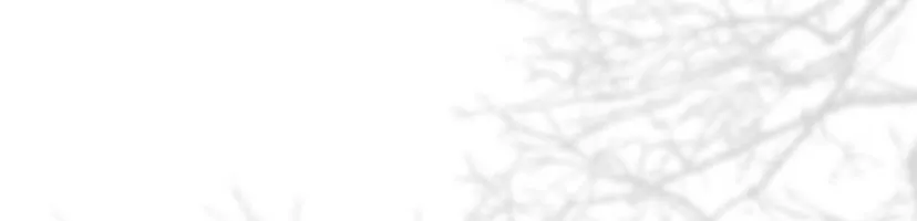 111 Príncipe problemático