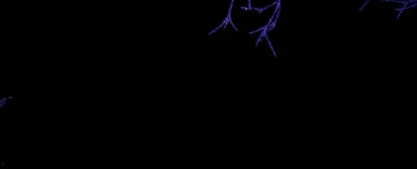 61 Príncipe problemático