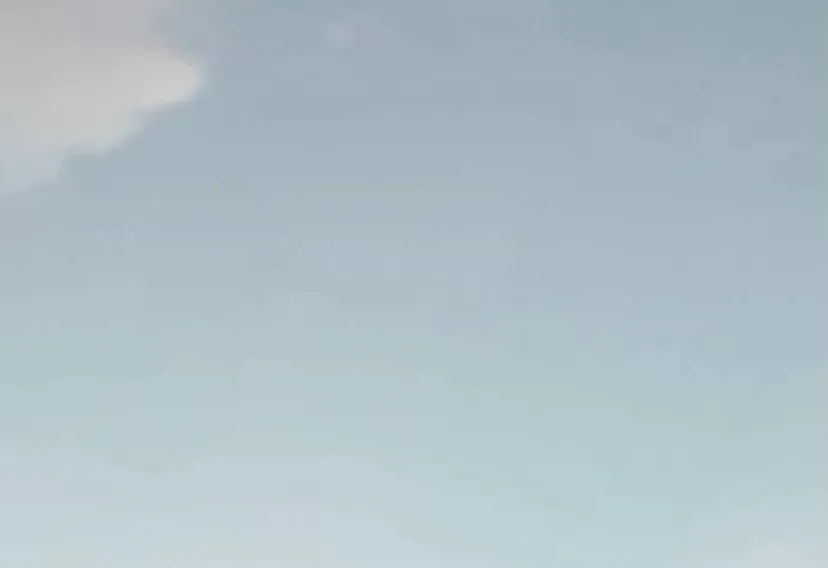 97 Príncipe problemático