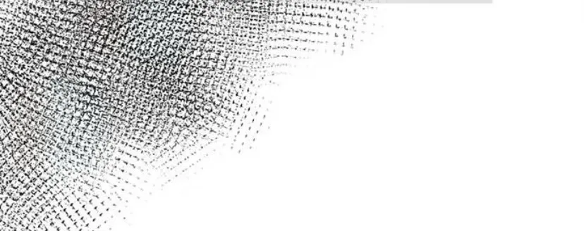 37 Príncipe problemático