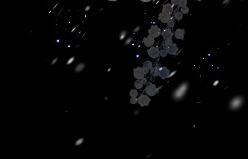 95 Príncipe problemático