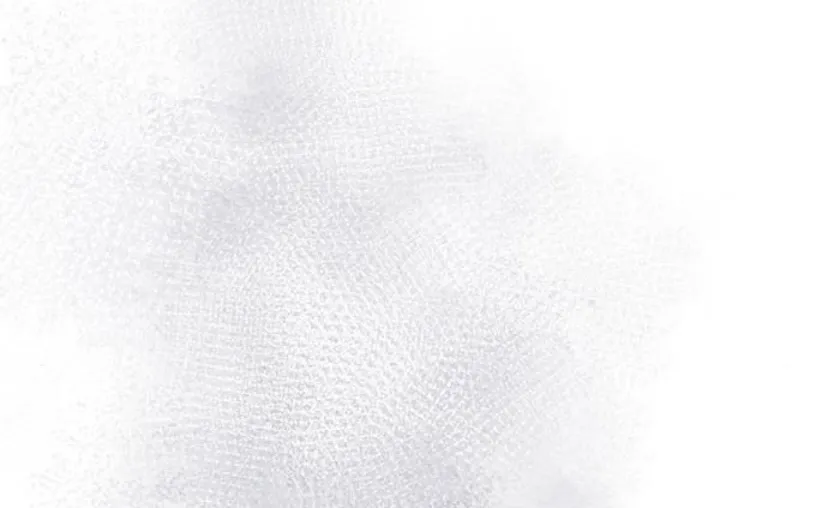 11 Príncipe problemático