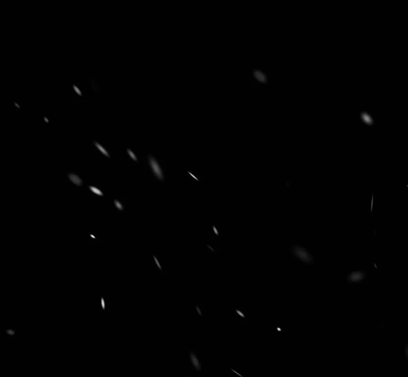 100 Príncipe problemático