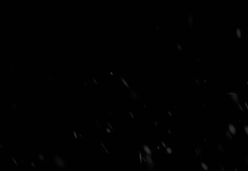 89 Príncipe problemático