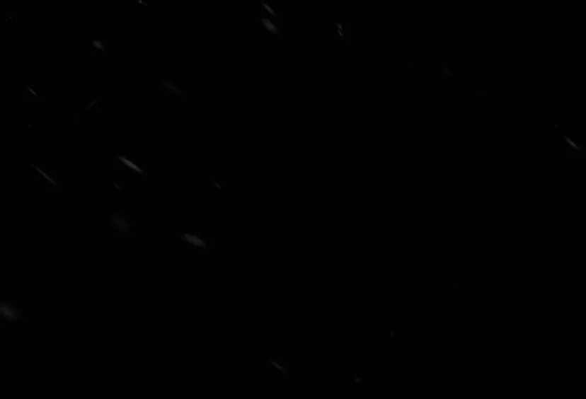 91 Príncipe problemático