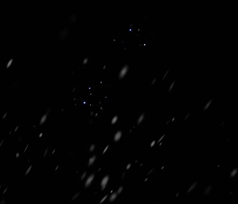 97 Príncipe problemático