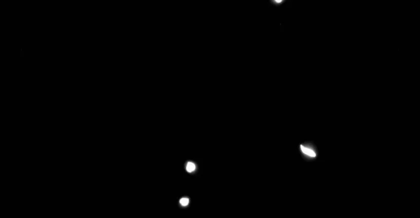 117 Príncipe problemático