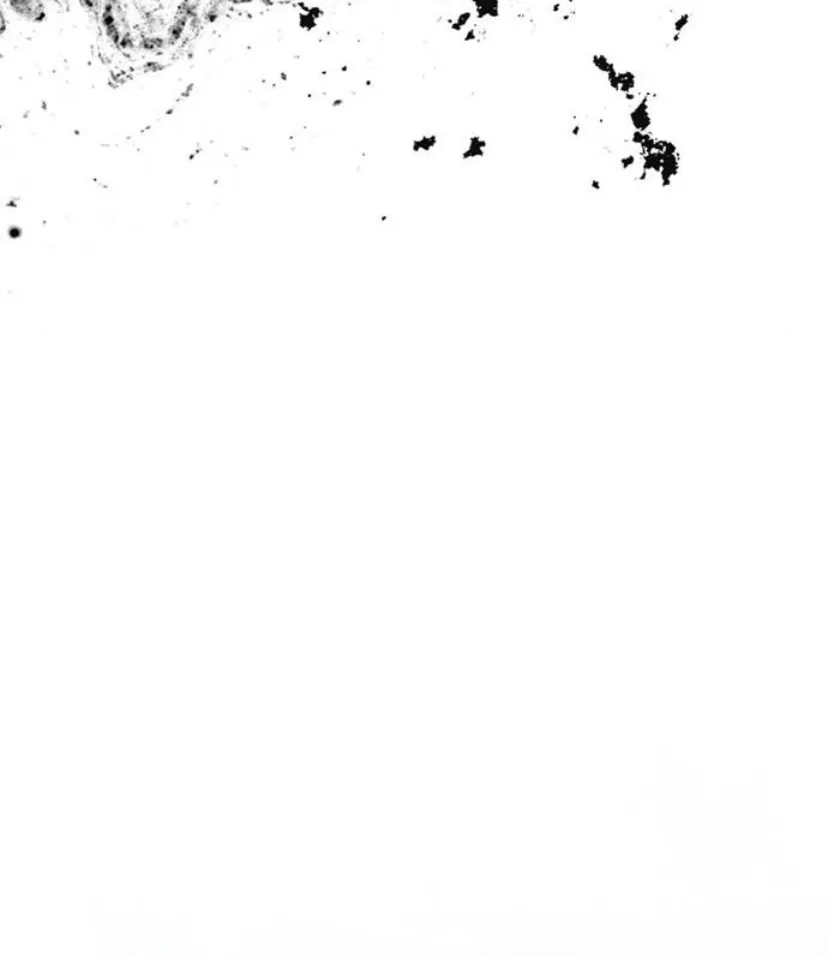 27 Príncipe problemático