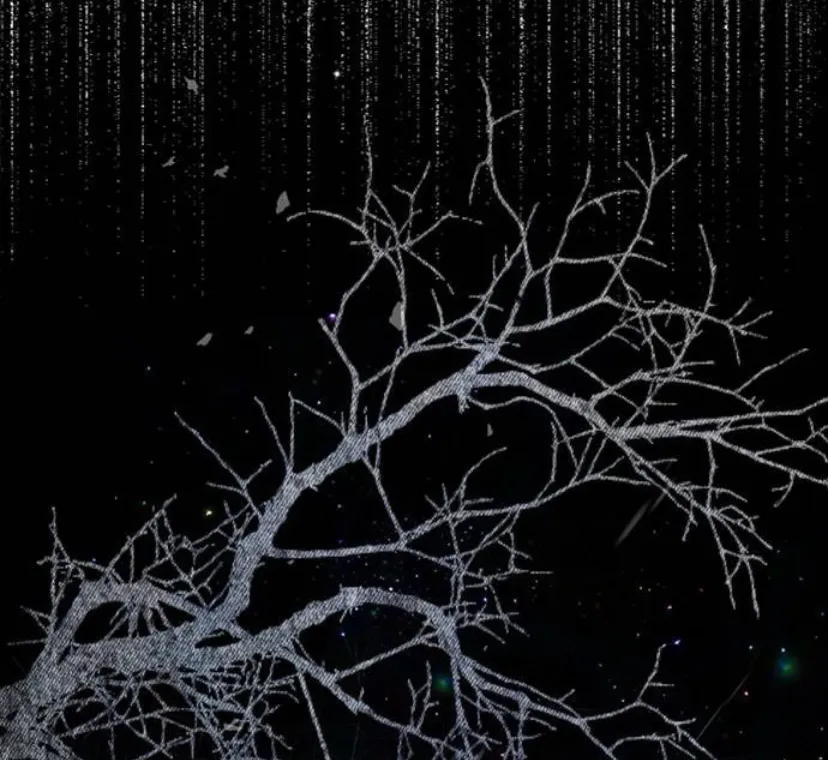 62 Príncipe problemático