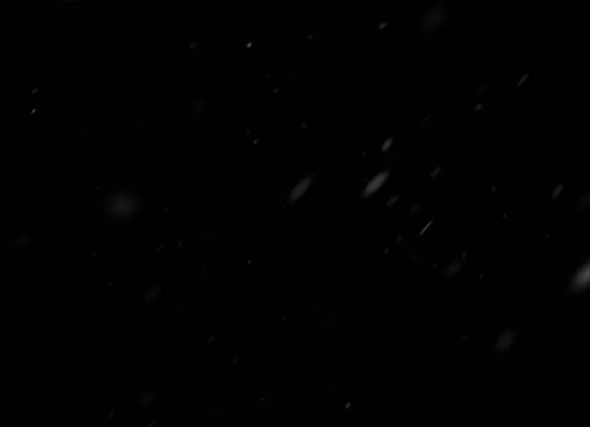 5 Príncipe problemático