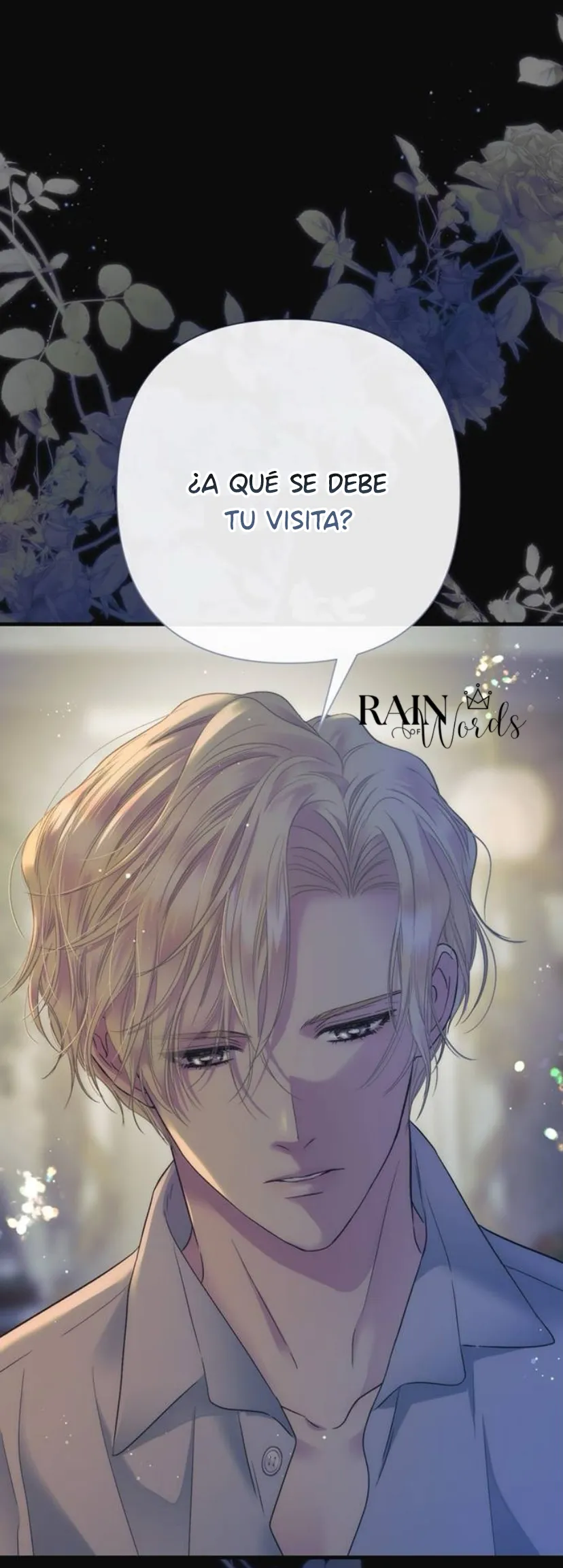 85 Príncipe problemático