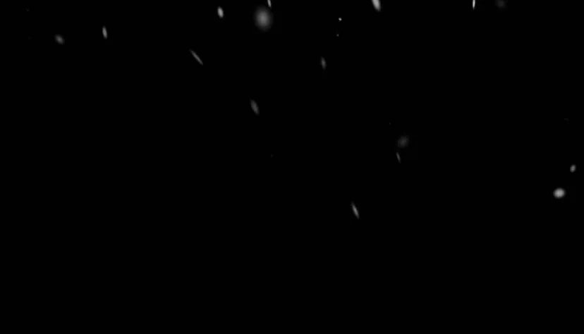 116 Príncipe problemático