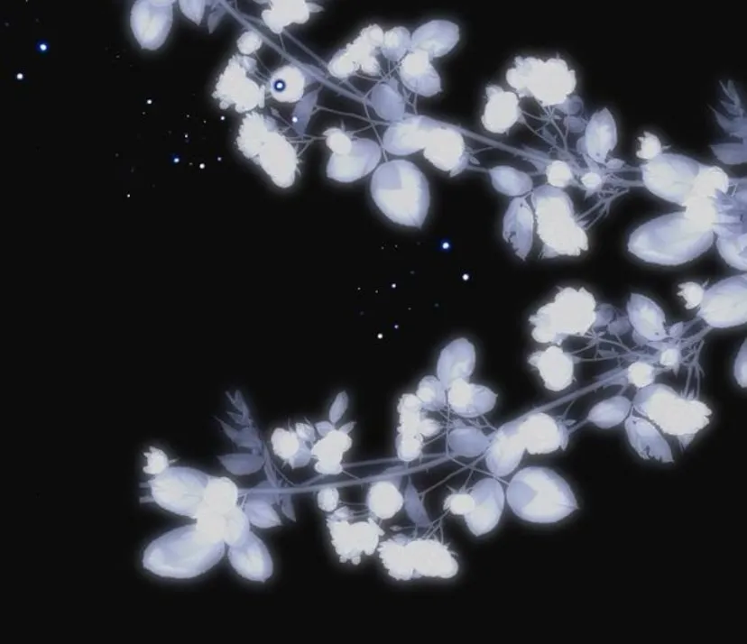 89 Príncipe problemático